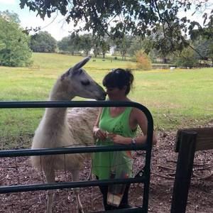 Meet your Posher, Judy